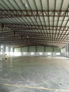 虎门港全新物流厂地6650平方,滴水十米,带全新卸货平台,